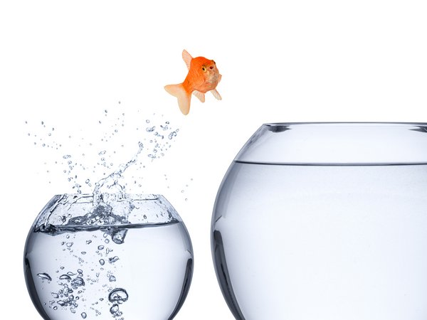 JUMP für Nachwuchsführungskräfte