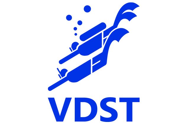 Logo VDST